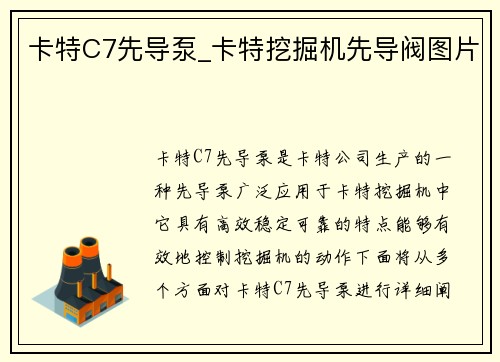 卡特C7先导泵_卡特挖掘机先导阀图片