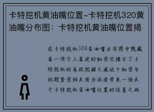 卡特挖机黄油嘴位置-卡特挖机320黄油嘴分布图：卡特挖机黄油嘴位置揭秘：高效挖掘的秘密